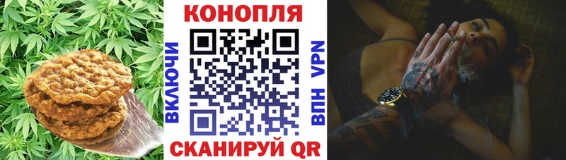маркетплейс состав  Лыткарино  Canna-Cookies конопля  кракен ссылки 