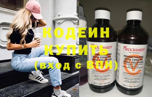 индика Покачи