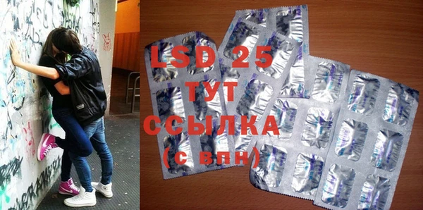 индика Покачи