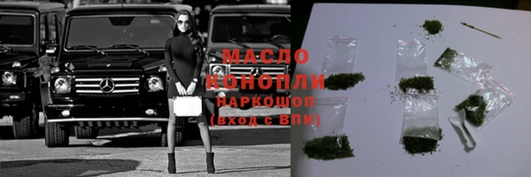 индика Покачи
