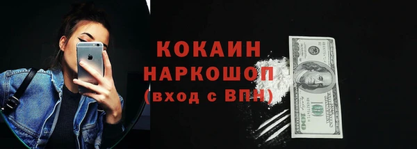 индика Покачи