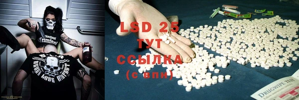 PSILOCYBIN Лиски