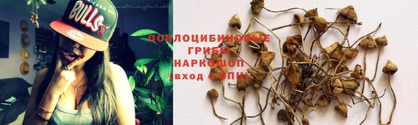 прущая мука Лихославль