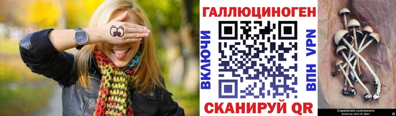 цены   Лыткарино  нарко площадка состав  Галлюциногенные грибы мицелий 