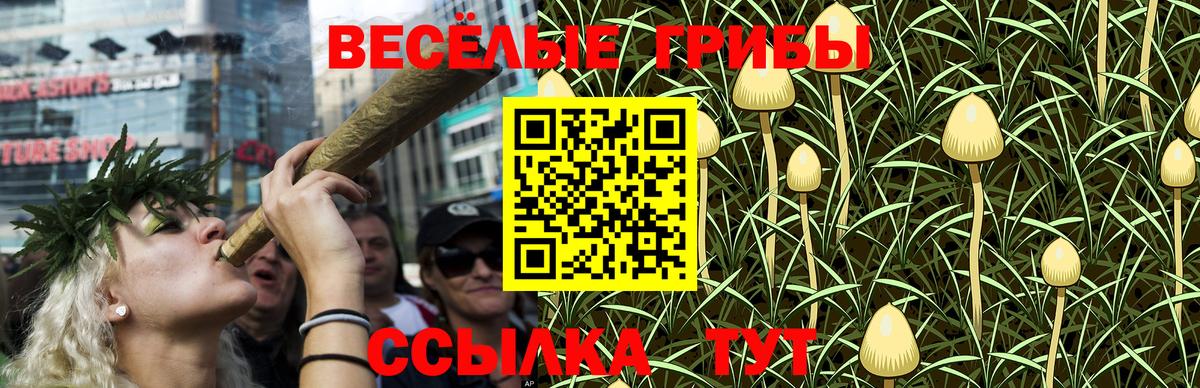 Галлюциногенные грибы мухоморы  хочу наркоту  Галлюциногенные грибы GOLDEN TEACHER  Лыткарино 