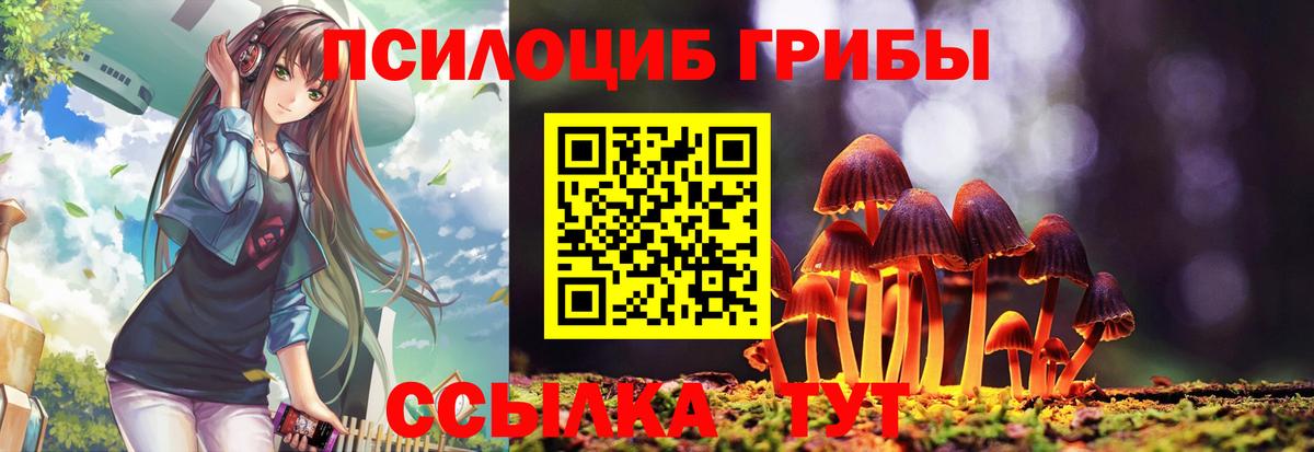 Галлюциногенные грибы прущие грибы  Вход с VPN  Лыткарино 