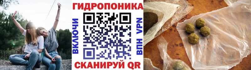 Марихуана OG Kush  Лыткарино 